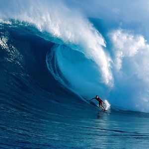 Meet your Posher, Scott